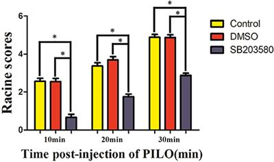 Inhibition of p38 MAPK Signaling Regulates the Expression of EAAT2 in the Brains of Epileptic Rats